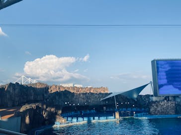 名古屋港水族館に投稿された画像（2024/8/11）