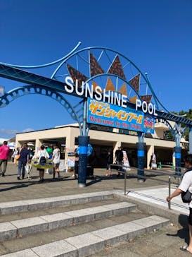 海の中道サンシャインプールに投稿された画像（2024/8/11）