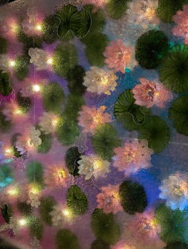 モネ＆フレンズ・アライブに投稿された画像（2024/8/11）