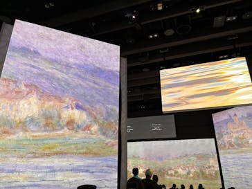 モネ＆フレンズ・アライブに投稿された画像（2024/8/11）