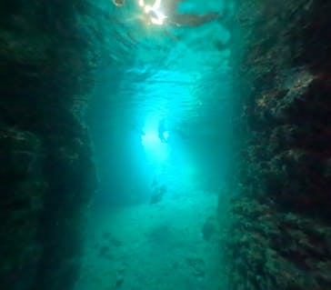 武藤潜水に投稿された画像（2024/8/12）