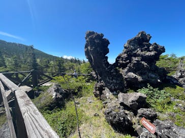 北八ヶ岳ロープウェイに投稿された画像（2024/8/12）