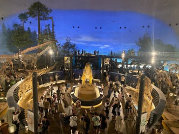 福井県立恐竜博物館に投稿された画像（2024/8/12）