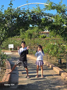 ひらかたパークに投稿された画像（2024/8/12）