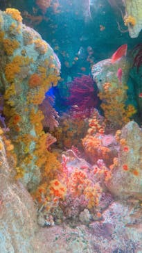 サンシャイン水族館に投稿された画像（2024/8/12）