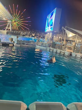 名古屋港水族館に投稿された画像（2024/8/12）