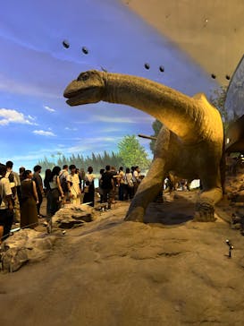 福井県立恐竜博物館に投稿された画像（2024/8/12）