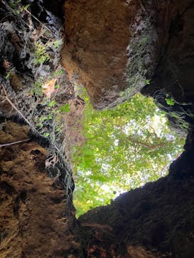 CAVE OKINAWAに投稿された画像（2024/8/12）