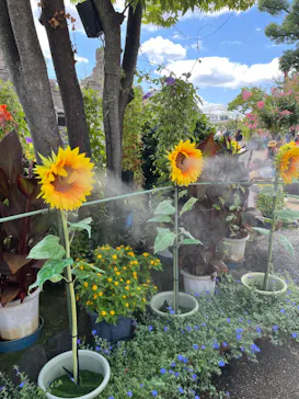 ひらかたパークに投稿された画像（2024/8/12）