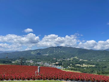 ひるがのピクニックガーデンに投稿された画像（2024/8/12）