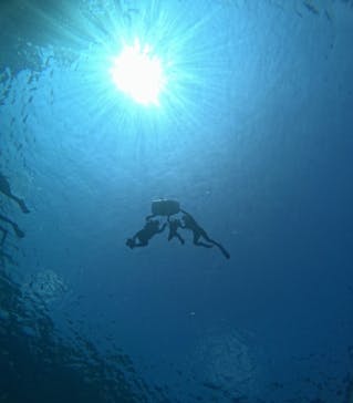 青の洞窟専門店　沖縄ダイビングショップ和に投稿された画像（2024/8/12）