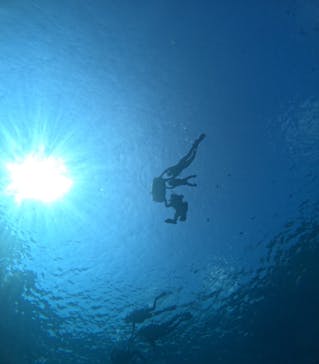 青の洞窟専門店　沖縄ダイビングショップ和に投稿された画像（2024/8/12）