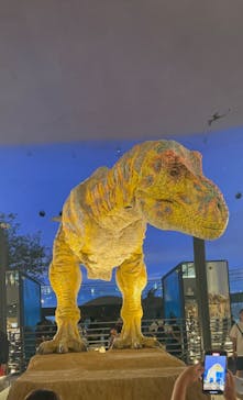福井県立恐竜博物館に投稿された画像（2024/8/12）