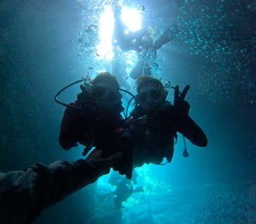 沖縄マリンサービス碧に投稿された画像（2024/8/12）