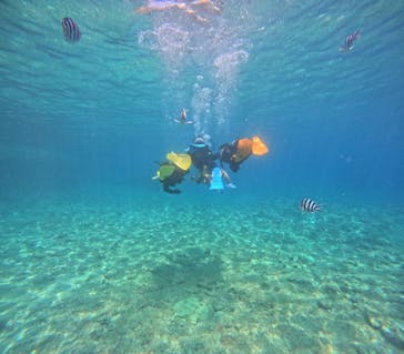 沖縄マリンサービス碧に投稿された画像（2024/8/12）