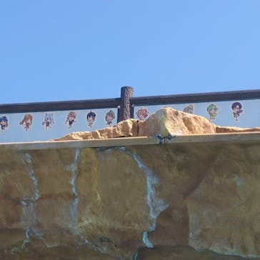 東京サマーランドに投稿された画像（2024/8/12）