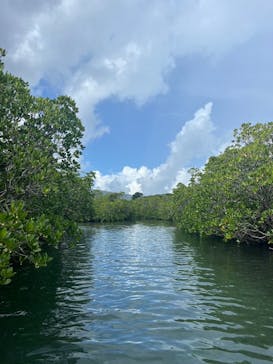 西表島 ADVENTURE PiPi（アドベンチャーピピ）に投稿された画像（2024/8/11）