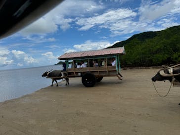 西表島 ADVENTURE PiPi（アドベンチャーピピ）に投稿された画像（2024/8/11）