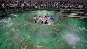 城崎マリンワールドに投稿された画像（2024/8/12）