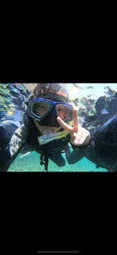 武藤潜水に投稿された画像（2024/8/12）