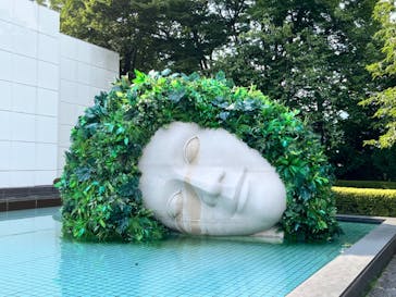 彫刻の森美術館に投稿された画像（2024/8/12）