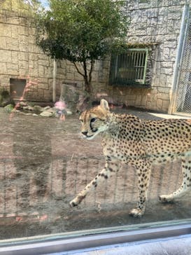 多摩動物公園に投稿された画像（2024/8/12）