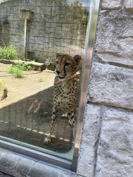 多摩動物公園に投稿された画像（2024/8/12）