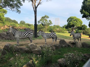 よこはま動物園ズーラシアに投稿された画像（2024/8/12）