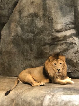 よこはま動物園ズーラシアに投稿された画像（2024/8/12）