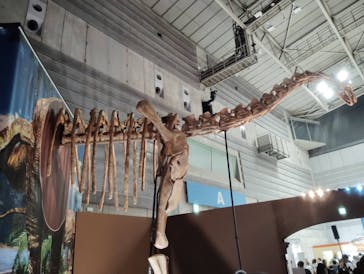 巨大恐竜展2024に投稿された画像（2024/8/12）