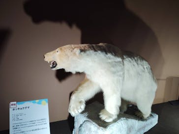 巨大恐竜展2024に投稿された画像（2024/8/12）