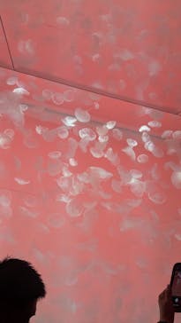 アクアワールド茨城県大洗水族館に投稿された画像（2024/8/12）