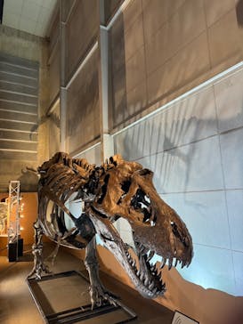 巨大恐竜展2024に投稿された画像（2024/8/12）
