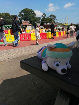 伊豆ぐらんぱる公園に投稿された画像（2024/8/12）