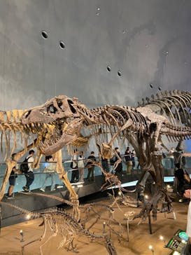 福井県立恐竜博物館に投稿された画像（2024/8/12）