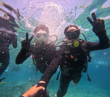 沖縄マリンサービス碧に投稿された画像（2024/8/12）