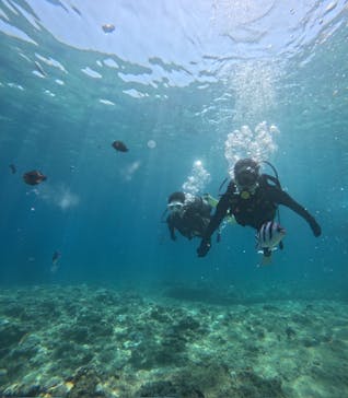 沖縄マリンサービス碧に投稿された画像（2024/8/12）