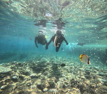 沖縄マリンサービス碧に投稿された画像（2024/8/12）