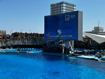 名古屋港水族館に投稿された画像（2024/8/12）