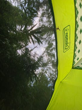 しらこばと水上公園（埼玉県公園緑地協会）に投稿された画像（2024/8/12）