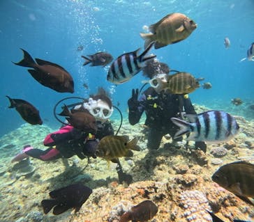 沖縄マリンサービス碧に投稿された画像（2024/8/12）