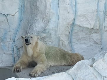 恩賜上野動物園に投稿された画像（2024/8/12）
