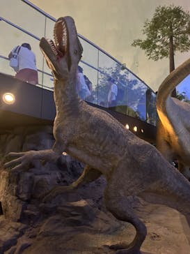 福井県立恐竜博物館に投稿された画像（2024/8/12）