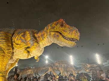 福井県立恐竜博物館に投稿された画像（2024/8/12）