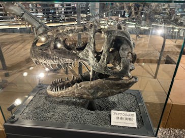 福井県立恐竜博物館に投稿された画像（2024/8/12）