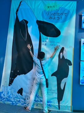 名古屋港水族館に投稿された画像（2024/8/12）