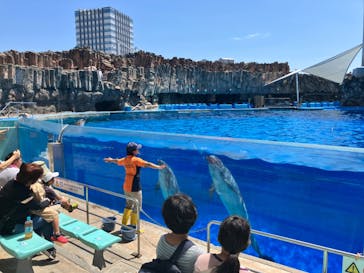 名古屋港水族館に投稿された画像（2024/8/12）