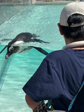 マリンワールド海の中道に投稿された画像（2024/8/12）