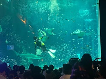 マリンワールド海の中道に投稿された画像（2024/8/12）