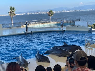 マリンワールド海の中道に投稿された画像（2024/8/12）